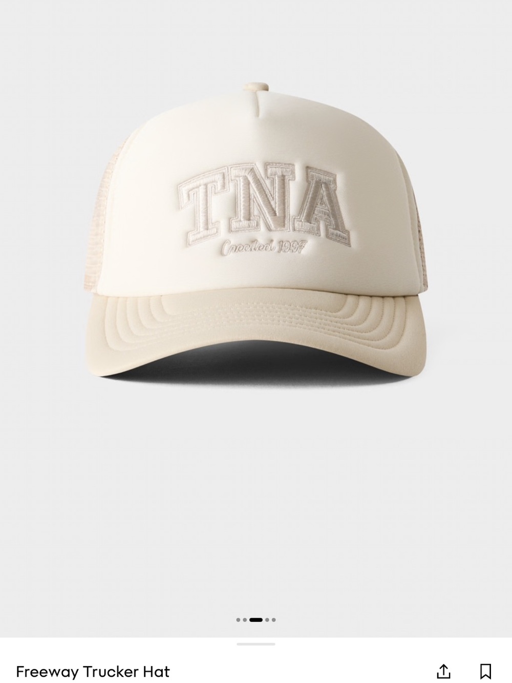Aritzia TNA Ivory Trucker Cap